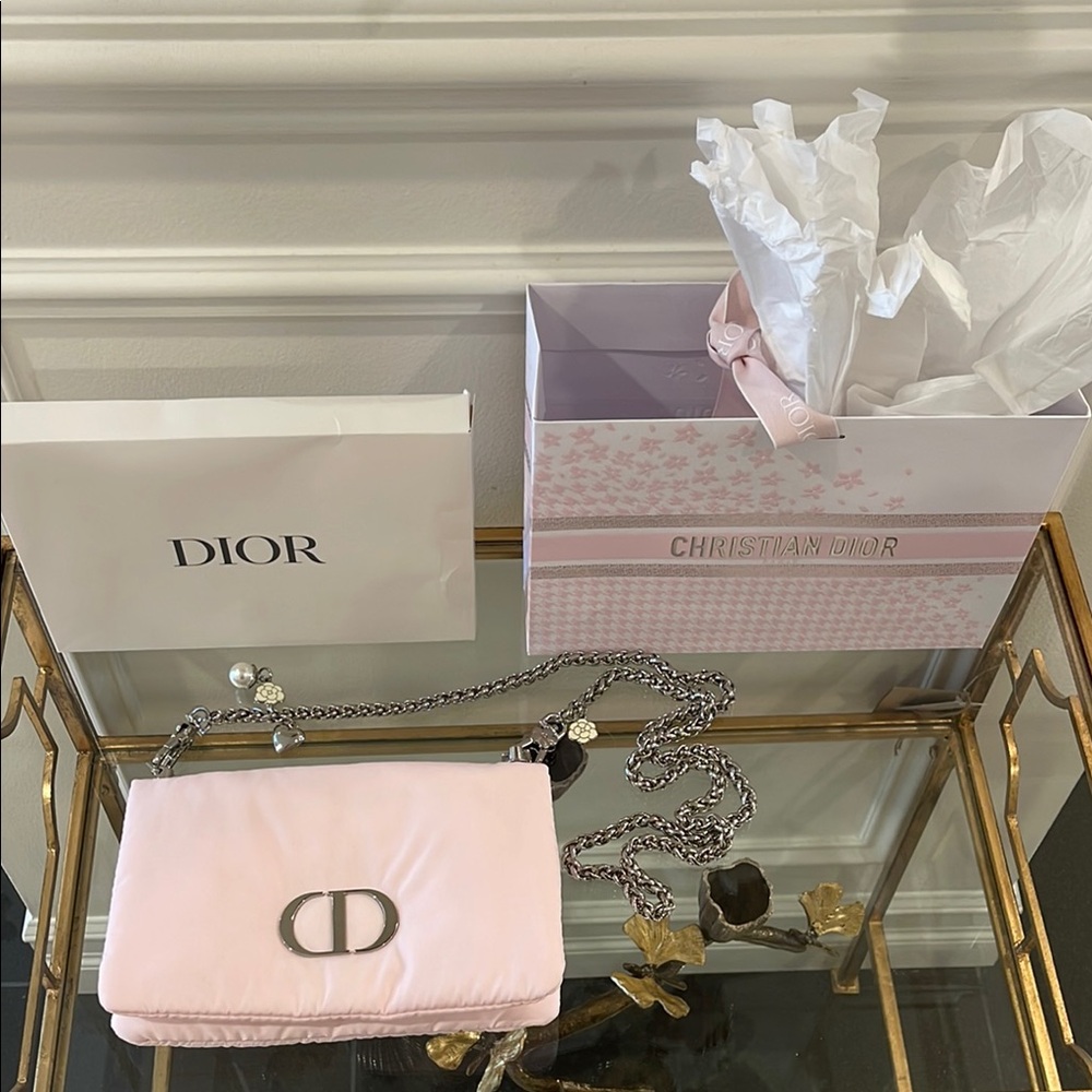 Dior Pink Clutch with Silver Chain - Picture 2 of 13